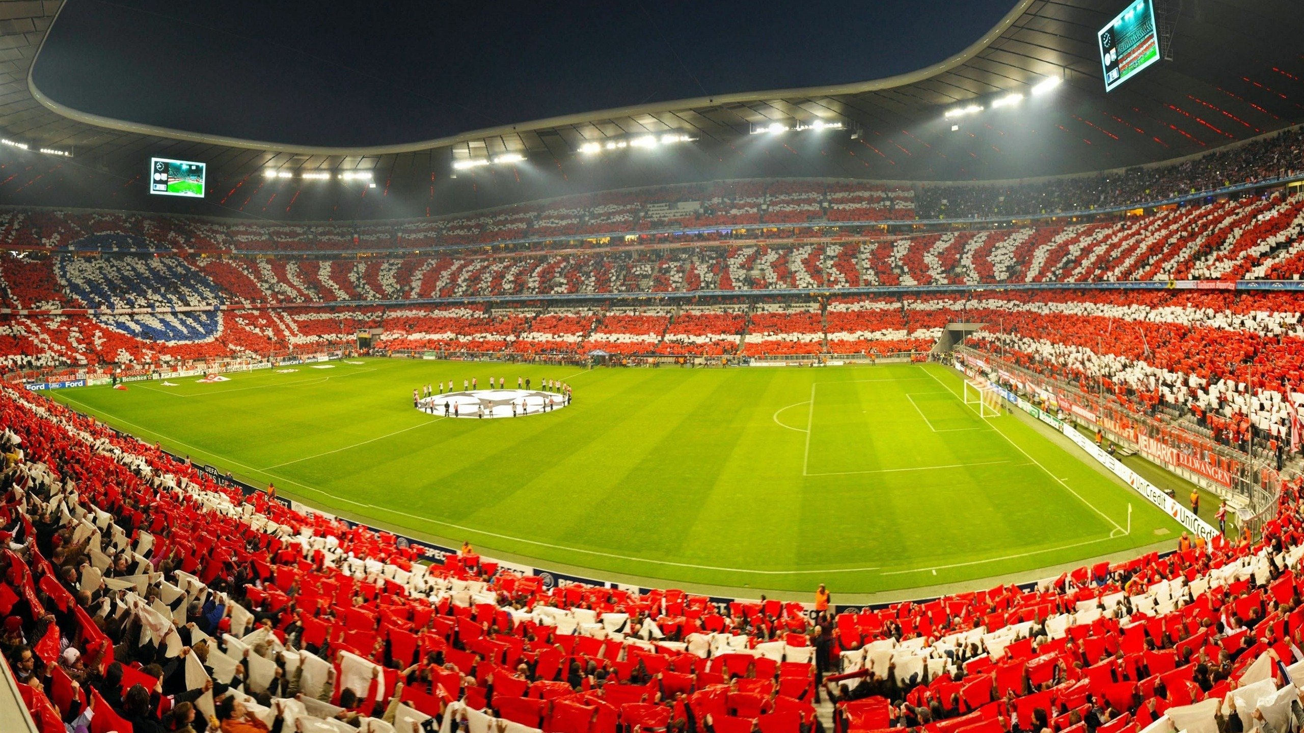 户外拓展“信任背摔”集体测试 增强团队默契